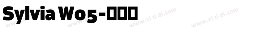 Sylvia W05字体转换